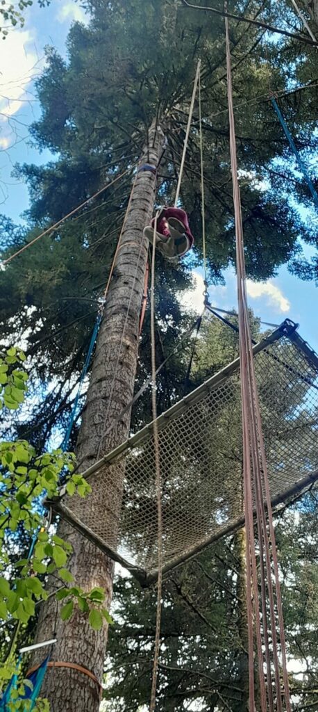 exercices cordes arbres 1.jpb