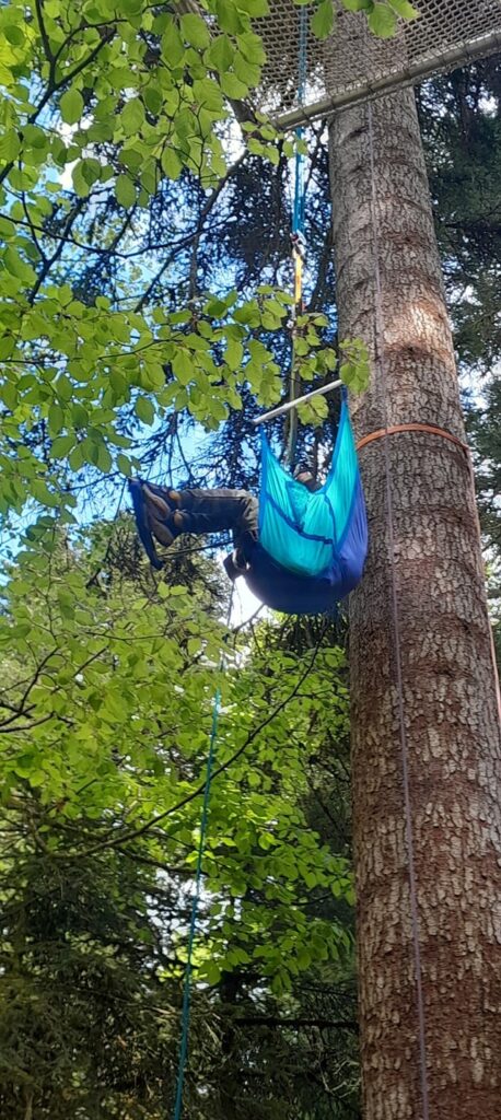 exercices cordes arbres 2