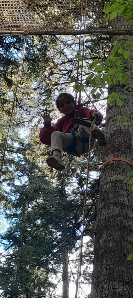 exercices cordes arbres 8