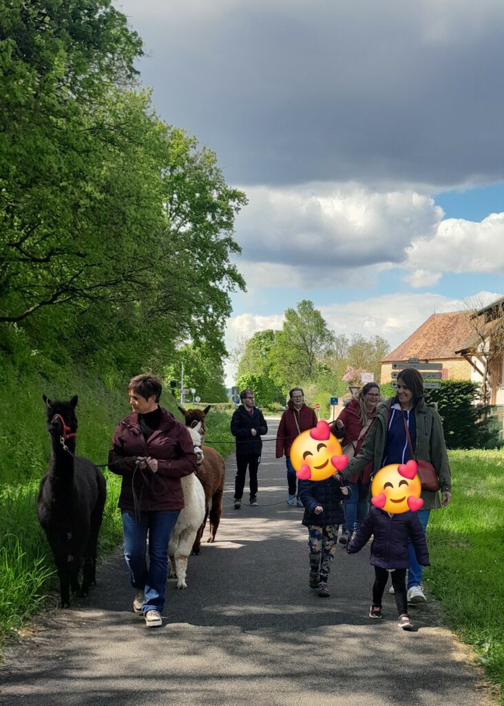 ACTION-20240423_155303