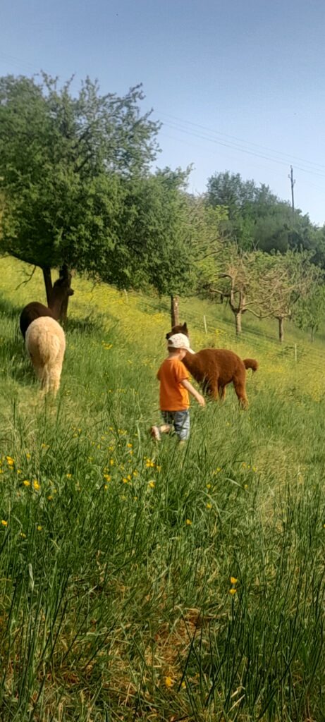 ACTION-20250430_165159