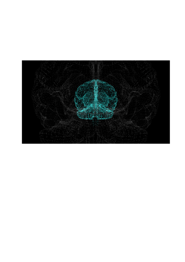 neurofeedback 3