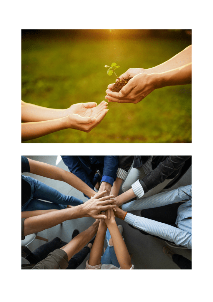 Formations Partages Échanges Coopérations